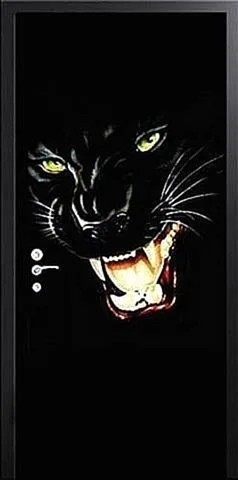 Входная дверь Zerda-5 (Фотопечать / МДФ Филенчатый) - внешняя сторона